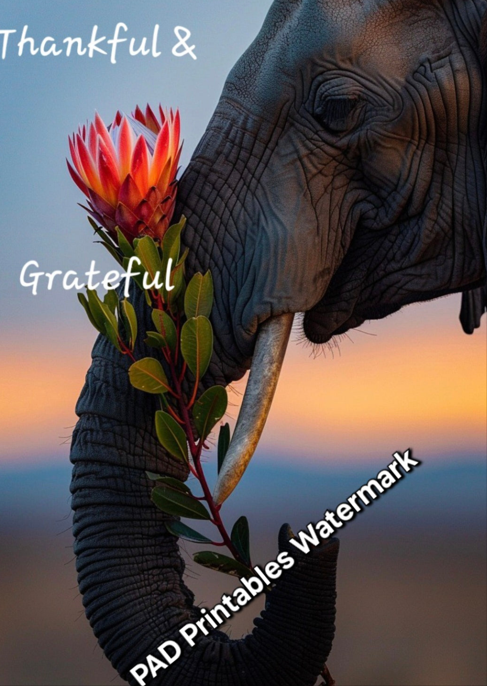 7 Digital High Definition Photos with Uplifting Thought to GIFT someone dealing with Anxiety or Needs Encouragement as a Pioneer (Variety Pack of 7 Photos) Just Download & Print. SET C