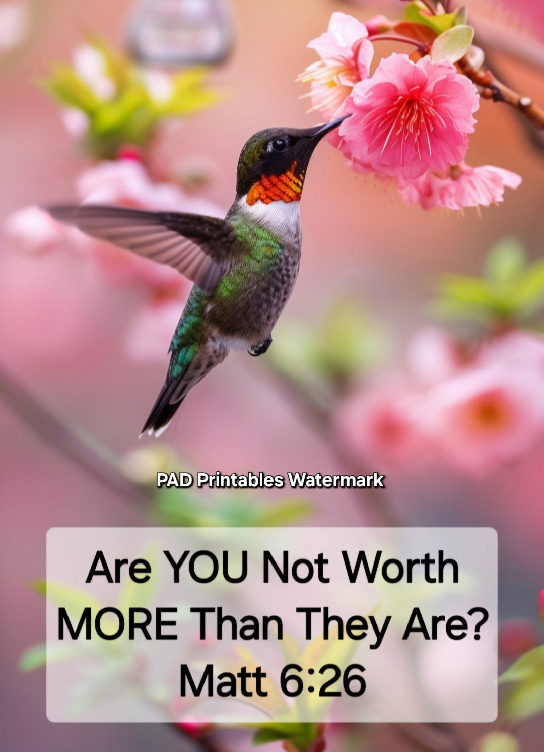 7 Digital High Definition Photos with uplifting thought to GIFT someone facing Loneliness and Depression (Variety Pack of 7 Photos) Just download & print. SET B