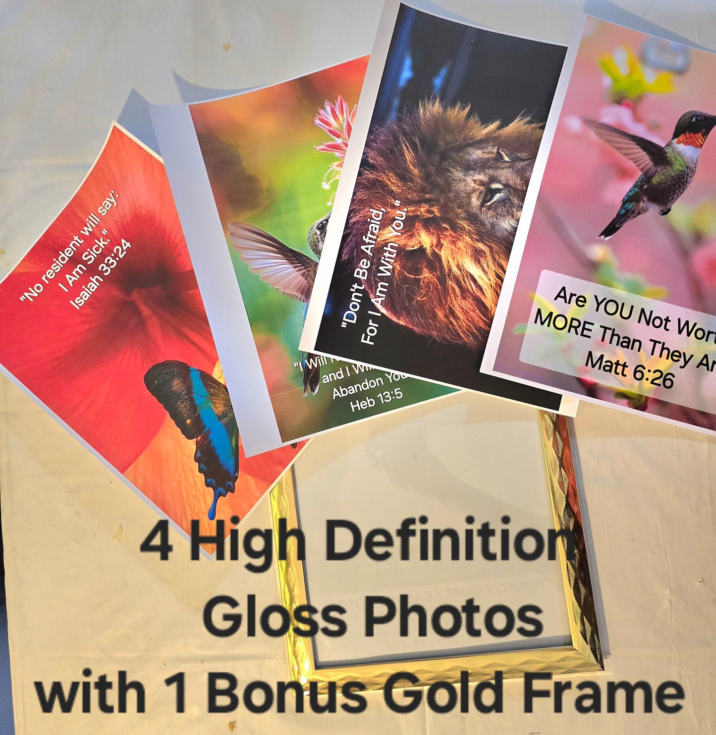 5 Piece Set: 4 Real High Definition Actual Photos to Brighten Someone's Day (Size 8 x 10), plus FREE Golden 8 x 10 Frame mailed to you.