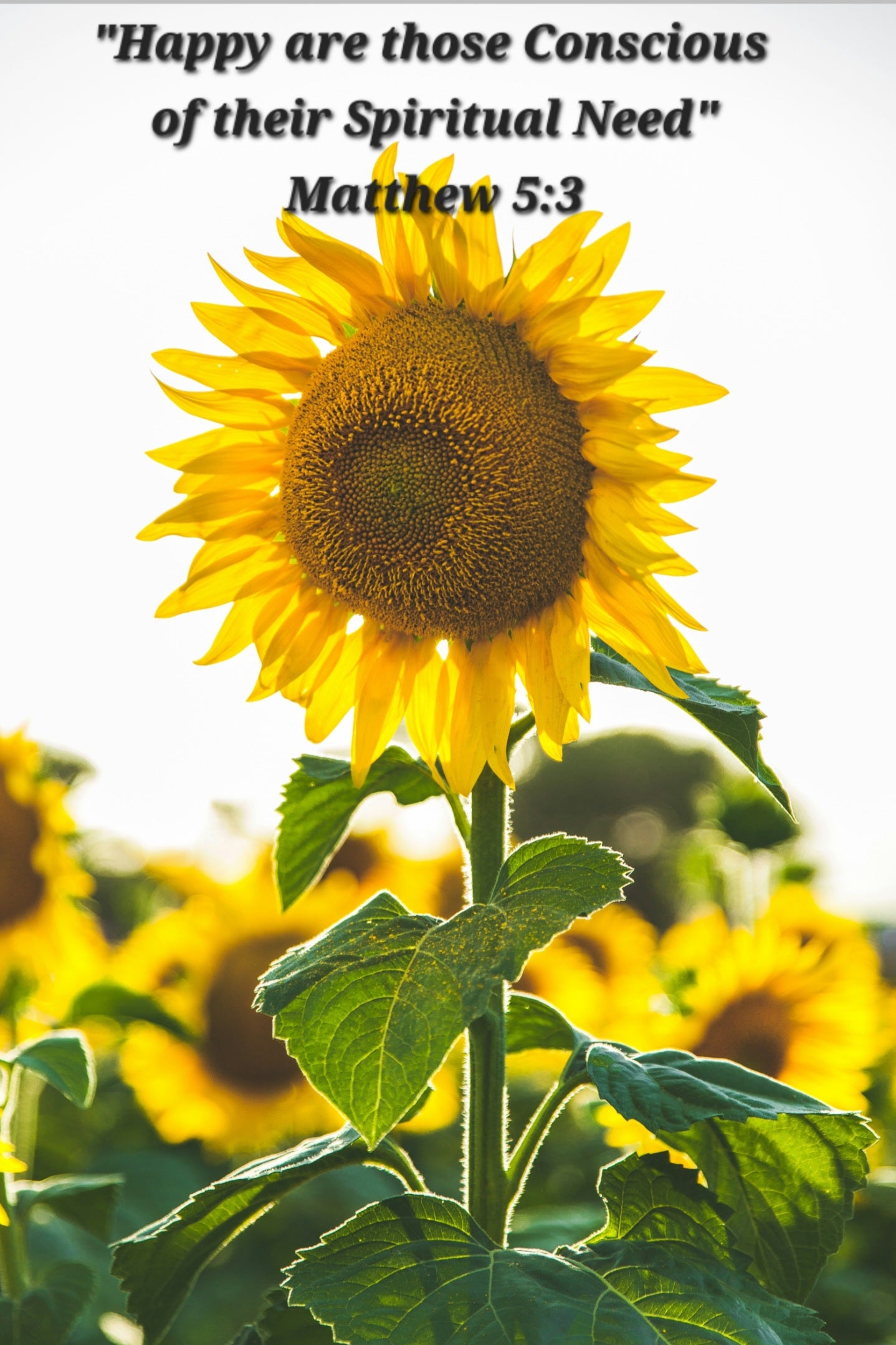 FREE JW PRINTABLE 2026 YEAR'S TEXT:  "Happy are those conscious of their spiritual need." Matt 5:3